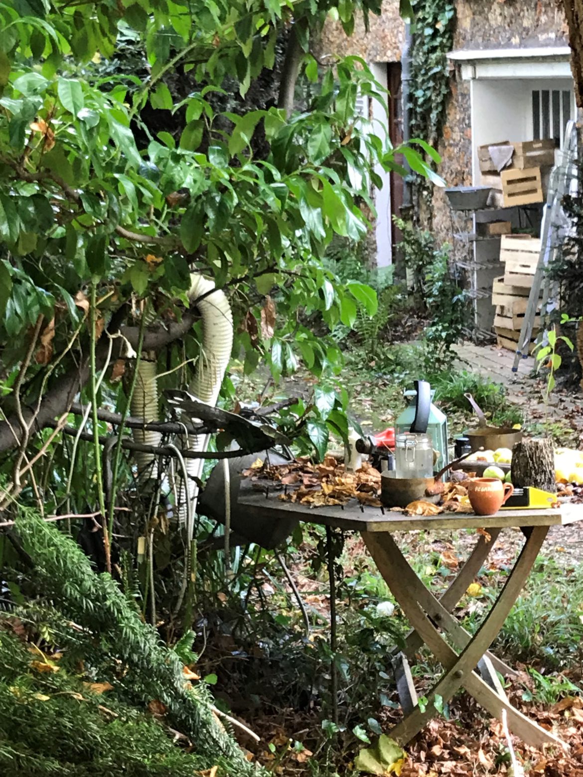 Benedikt Maria Trappen Unwahrscheinliche Begegnung in der