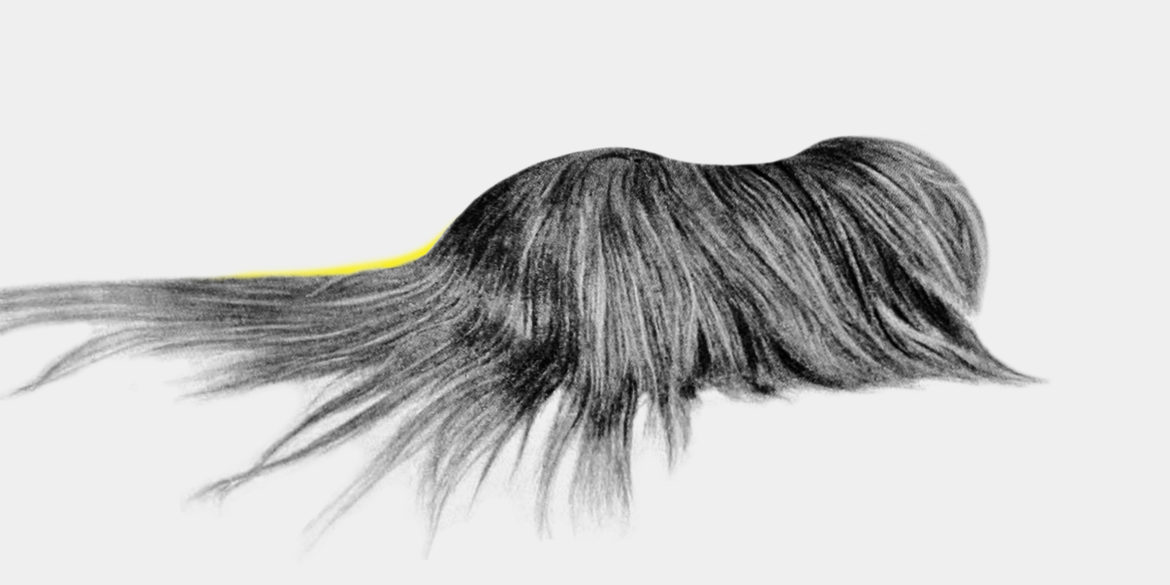 Jörn Klare: Vom Wert des Lebens