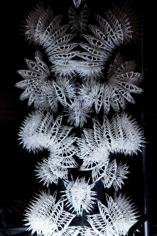 © Iris van Herpen